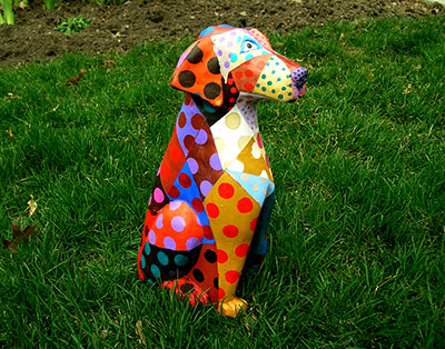 Dog Unknown